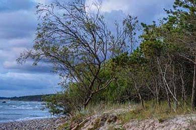 2024年全国女子象棋锦标赛在上海落幕，於之莹蝉联冠军，2021年女子象棋