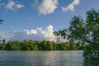 2020年复赛：库里用“火球”投篮不断刷新NBA历史小纪录，引领联盟新风潮