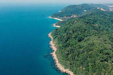 Aster教练团队战术调整显成效，atkinson教练